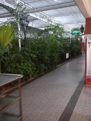 点击看大图 -特味村·宴会厅(生态园店)