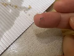 -尊宝比萨(江南豪园店)