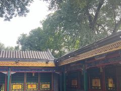 -白家大院·王府宫廷菜(苏州街店)