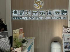 -瑞派·关忠动物医院·猫专科·犬专科(三环新城店)
