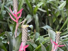 -上海辰山植物园