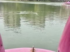 -青枫公园