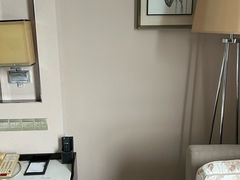 -东旭阳光国际大酒店