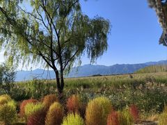 -野鸭湖国家湿地公园