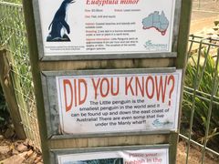 -费瑟代尔野生动物园