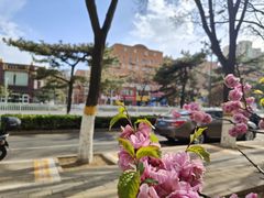-中国石油大学（北京）(北京西校区)