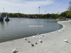 -上海交通大学闵行校区-包玉刚图书馆