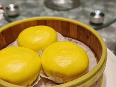 -朱记乳鸽王·非遗石岐乳鸽·全鸽宴(大兴旗舰店)