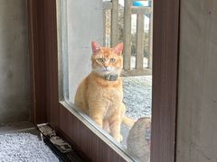 -Again Coffee Roaster(香蜜湖店)