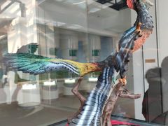 -辽宁古生物博物馆