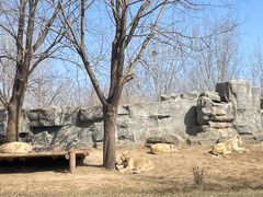 -北京野生动物园