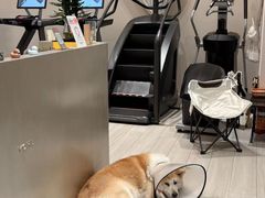 -YCHL Studios健身工作室(市二宫店)