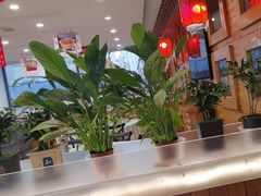 -大清花饺子(山庄店)
