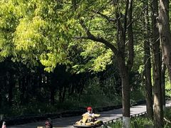 -东平国家森林公园