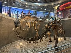 -国家自然博物馆