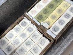 -徐思园大糕(江扬南路店)