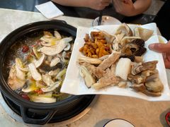 -蘑统田下·野生菌火锅