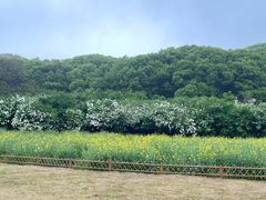 -苏州上方山国家森林公园