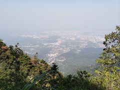 -庐山风景区花径公园