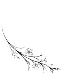 -针牛刺客·刺青纹身