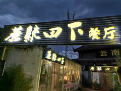 -蘑统田下·野生菌火锅