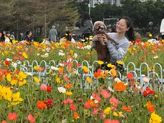 -二沙岛艺术公园