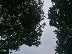 -羊山湖公园