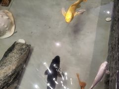 -曾家厨房·新徽菜(高新天柱路店)