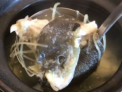 河豚汤-大厝宅海鲜馆