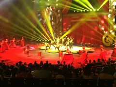 -珠海横琴长隆《卡卡虎奇遇记》