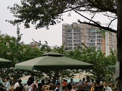 -望江楼公园
