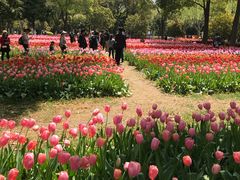 -上海鲜花港