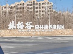 -林栖谷森林康养度假区