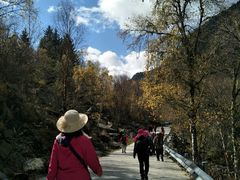 -叠溪松坪沟景区