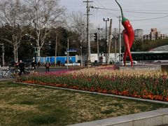 -中山公园