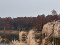 -四明湖