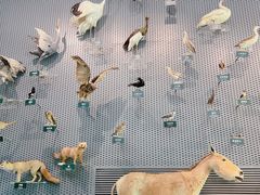 -中国湿地博物馆