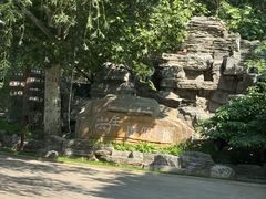 -尚庄度假村·庭台树下·户外烧烤·团建CS·轰趴营地(上庄水库店)