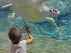 -福州罗源湾海洋世界旅游区