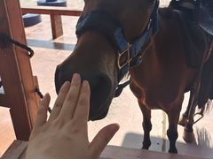 -郑州方特梦幻王国