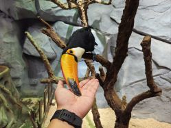 -Zoolung Zoolung动物主题公园(海信广场店)