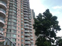 -天安数码城会所游泳馆