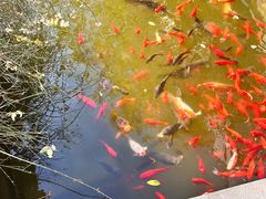 -北京国家会计学院