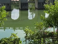 -南宁南湖公园