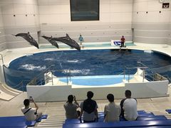 -鹿儿岛水族馆