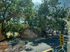 -海南热带雨林国家公园吊罗山景区