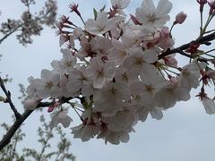 -嘉北郊野公园