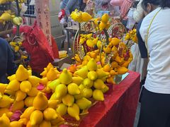-越秀西湖花市(广州城市广场花卉店)