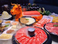 -爆棚肥牛火锅(原福成肥牛城味之缘三里河店)