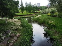 -西山漾湿地公园